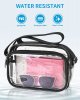Clear Purse